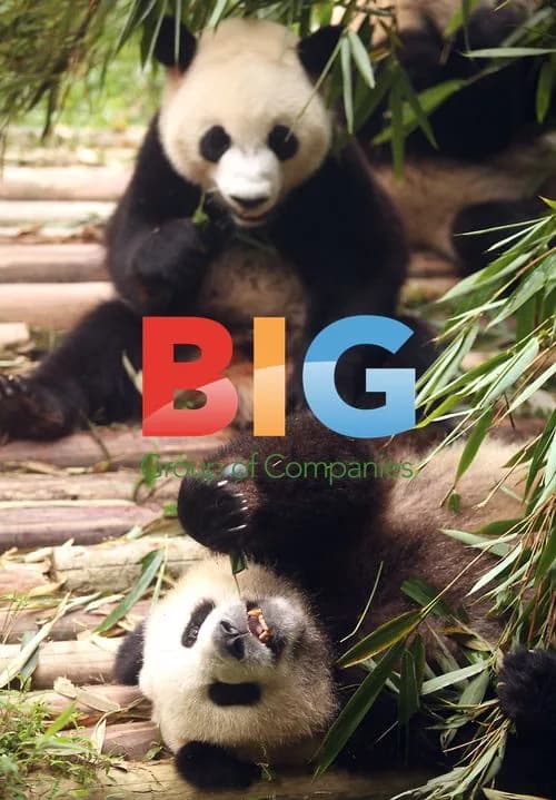 Giant pandas at Chengdu research base