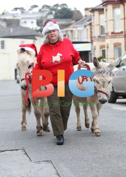 Anne Widdecombe Supports Donkey Charity