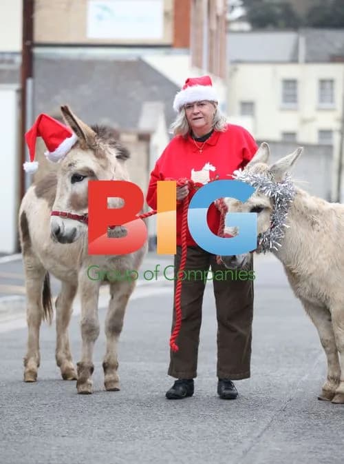 Anne Widdecombe Supports Christmas Campaign