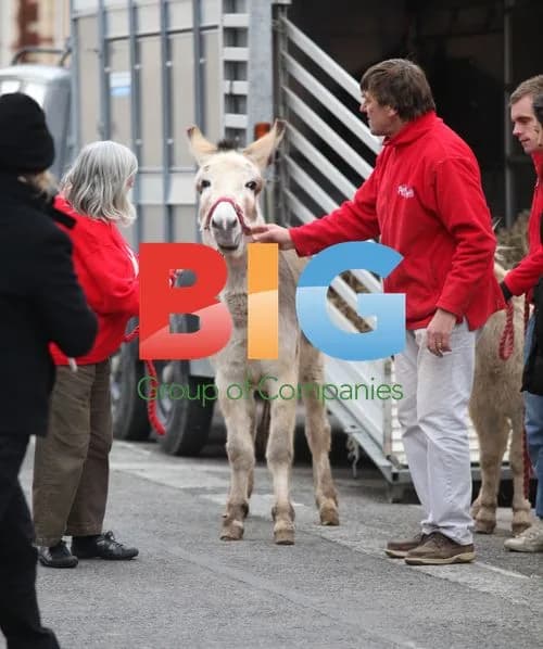 Anne Widdecombe supports donkey charity