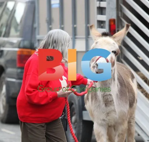 Anne Widdecombe supports donkey charity