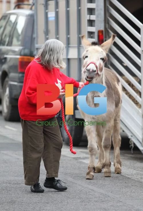Anne Widdecombe Supports Christmas Donkey Charity