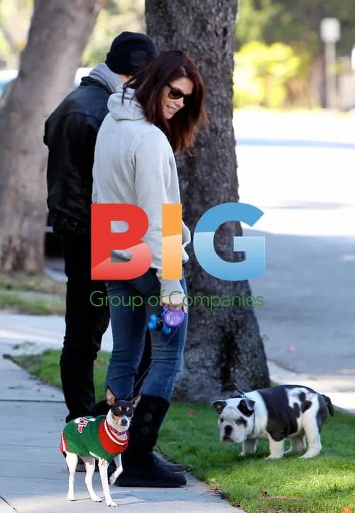 Ashley Greene and Joe Jonas Walking Dogs