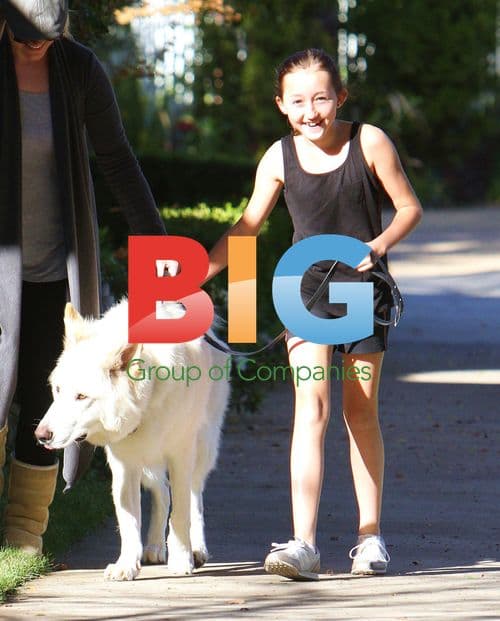 Noah Cyrus walks dog in Toluca Lake