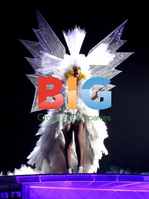 Lady Gaga performs in Lyon, France