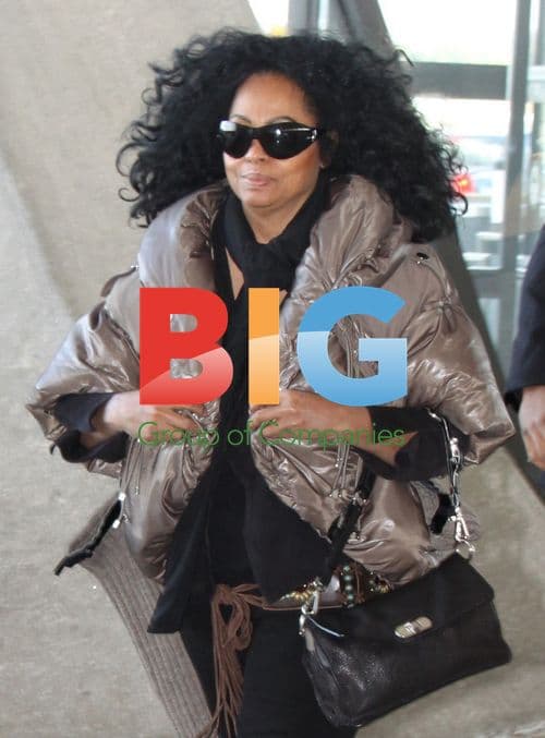 Diana Ross at Dulles Airport