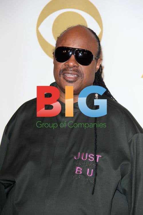 Stevie Wonder at GRAMMY Nominations Concert