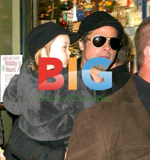 Brad Pitt and Angelina Jolie Shopping with Kids