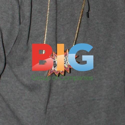 Chris Brown Holiday Shopping with Girlfriend