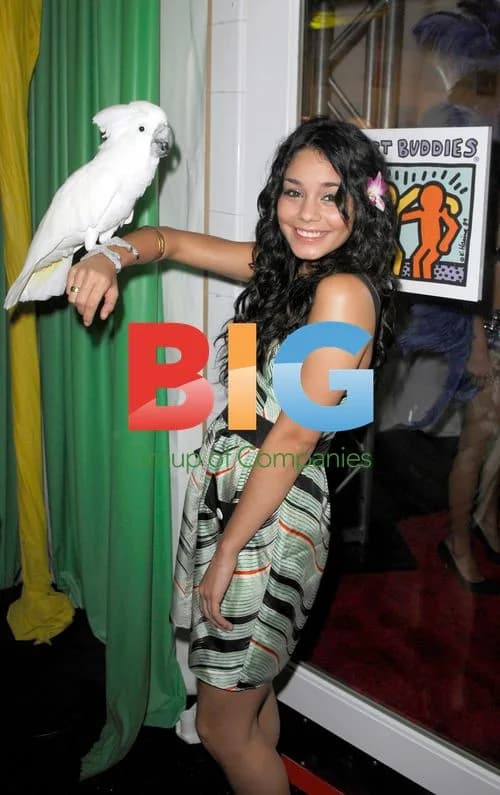 Zac Efron and Vanessa Hudgens Split