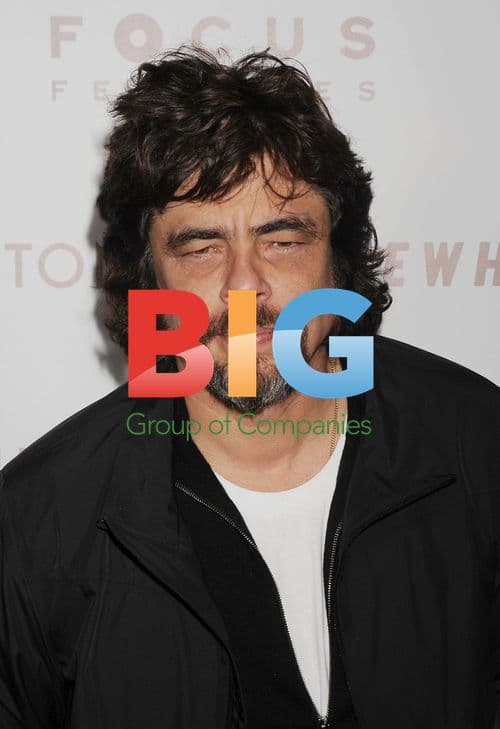 Benicio Del Toro at 'Somewhere' LA Premiere