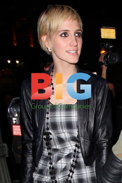 Ashlee and Pete's Dinner Date