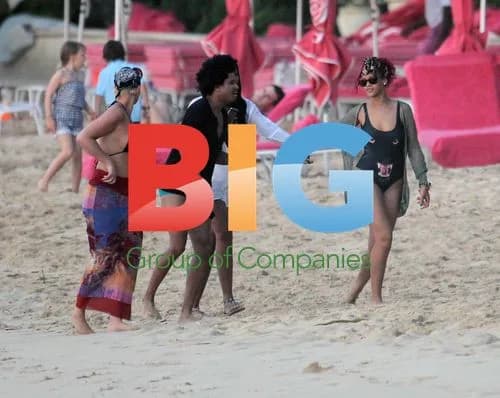 Rihanna in Panther Bikini on Barbados Beach