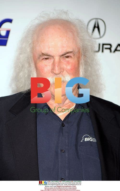David Crosby at 2010 MusiCares Tribute