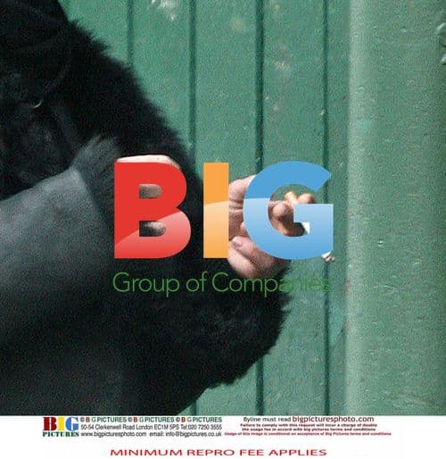 Tired Actress Hannah Waterman in London