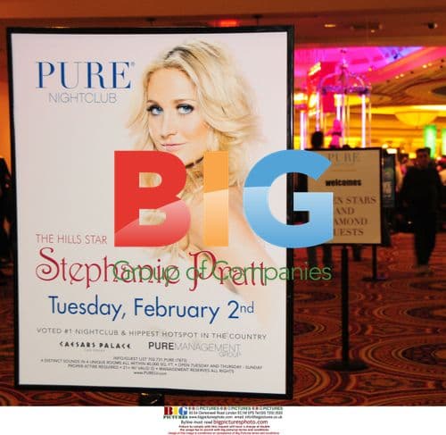 Stephanie Pratt at Pure Night Club in Las Vegas