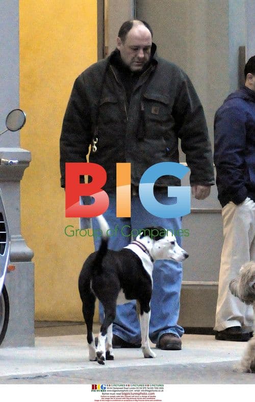 James Gandolfini Walks Dog in NYC
