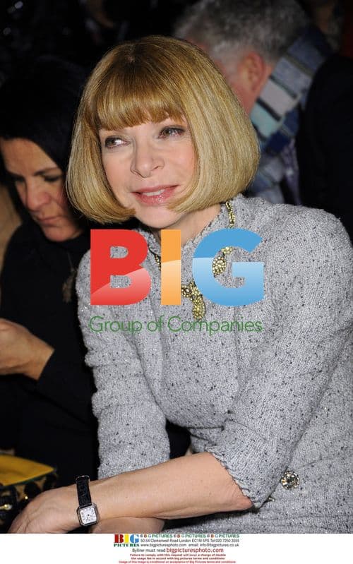 Anna Wintour at Carolina Herrera Fashion Show