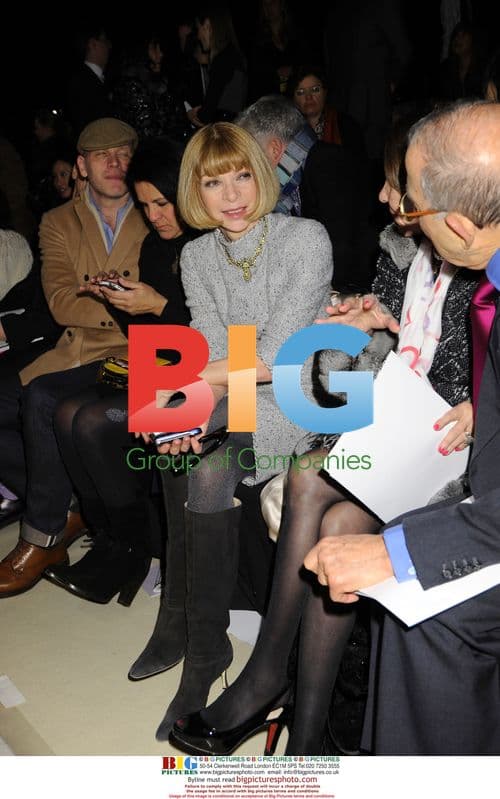 Anna Wintour at Carolina Herrera Fall 2010 Show