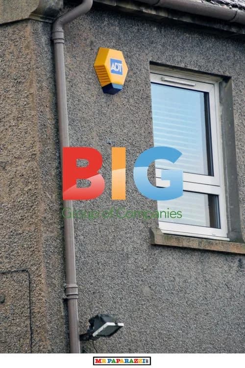 Susan Boyle Gets Home Alarm