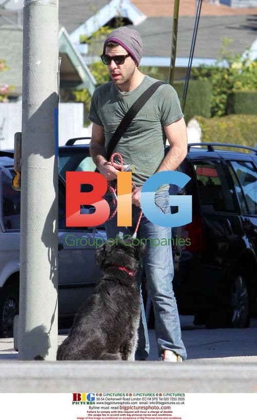 Zachary Quinto walks dog in Los Feliz