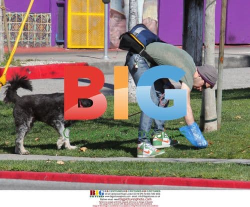 Zachary Quinto walks dog in Los Feliz