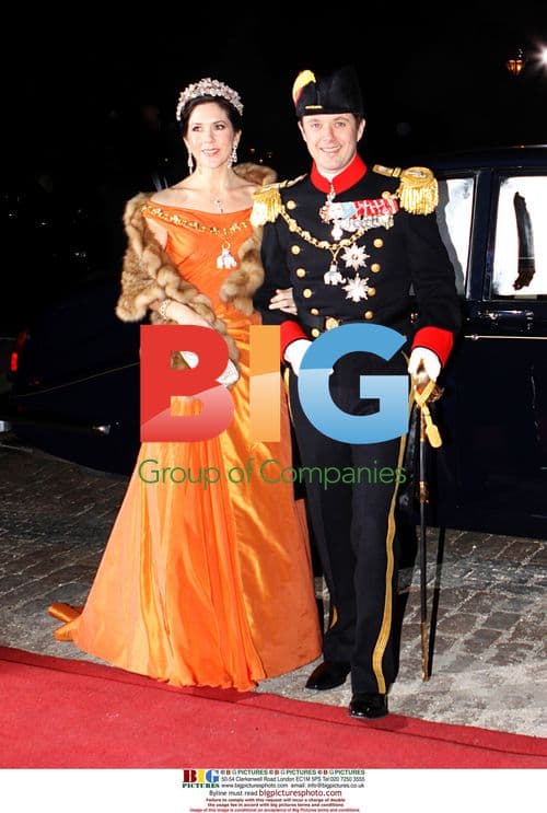 Danish Royal Family at New Year Reception