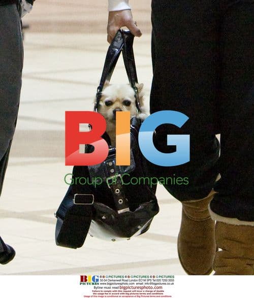 Brooke and Nick Hogan make funny faces at LAX