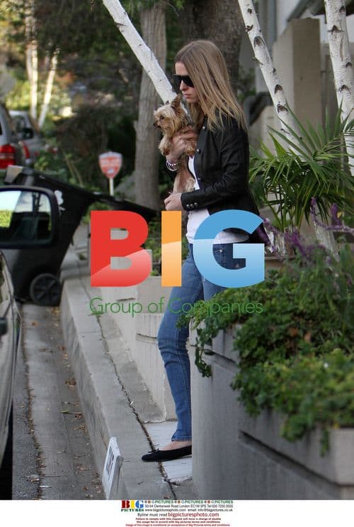 Hilton, Tequila, and Phillips with Casey Johnson's dogs