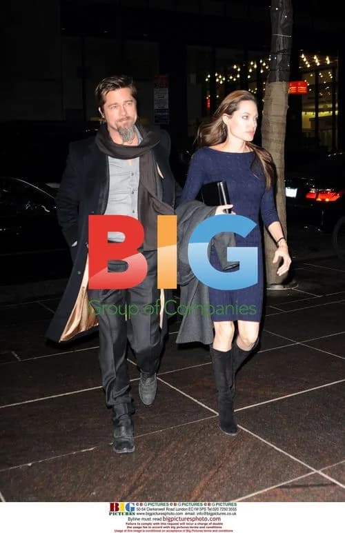 Brad Pitt and Angelina Jolie Out to Dinner