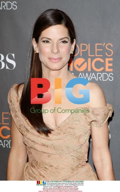 Sandra Bullock at People's Choice Awards 2010