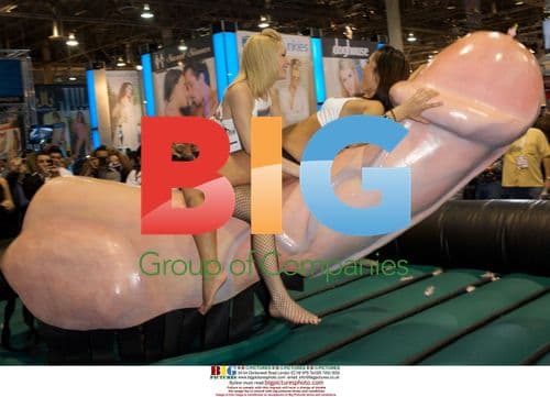 Adult Entertainers at 2010 AVN Expo