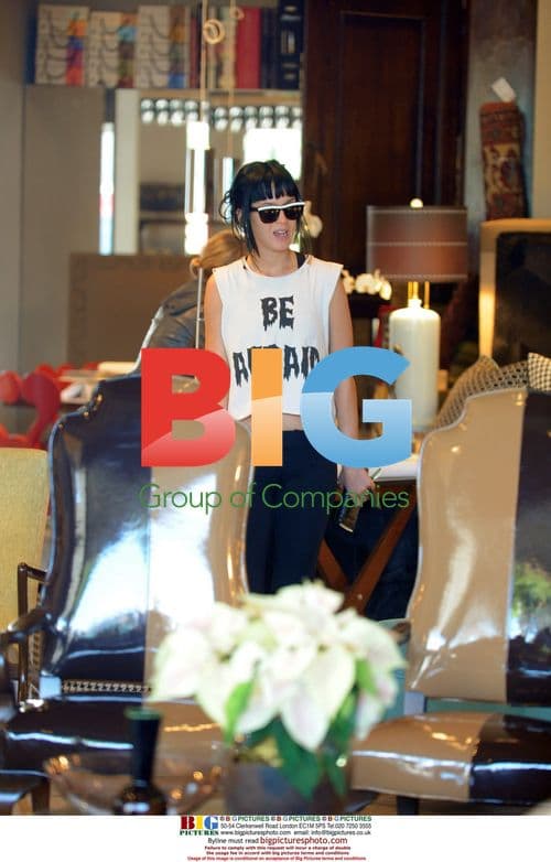 Katy Perry Furniture Shopping