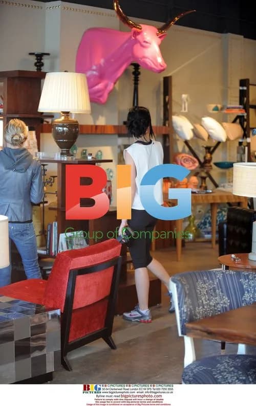 Katy Perry Furniture Shopping