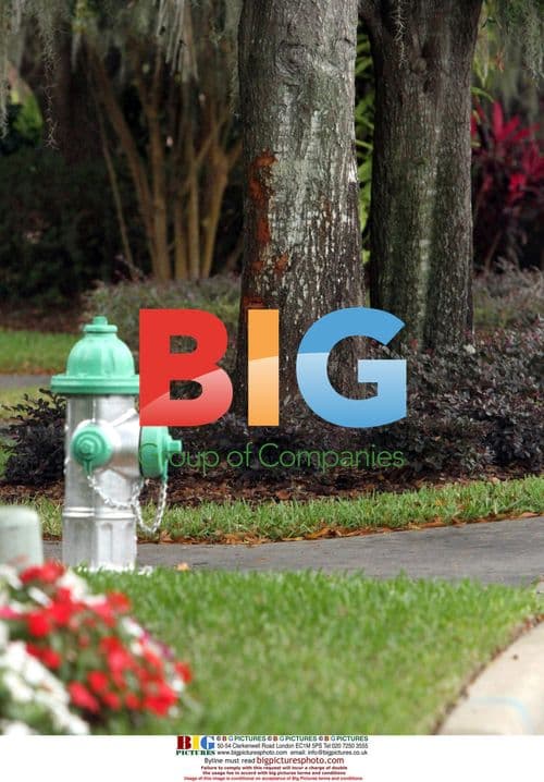 Tiger Woods' Family Home