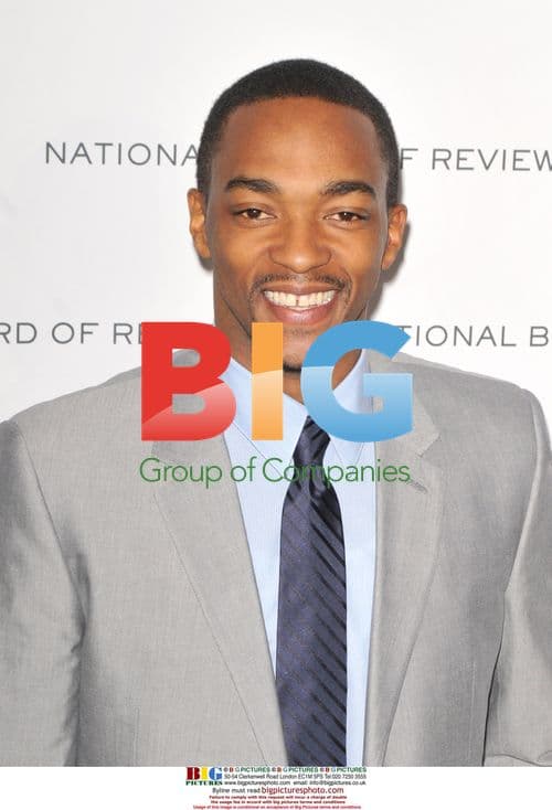 Anthony Mackie at National Board of Review Gala