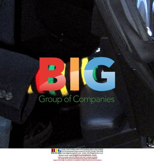 Freddie Prinze, Jr. on "Late Night with Jimmy Fallon"