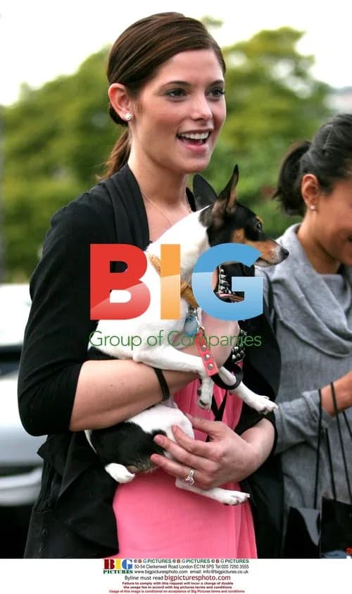 Ashley Greene with dog in Beverly Hills