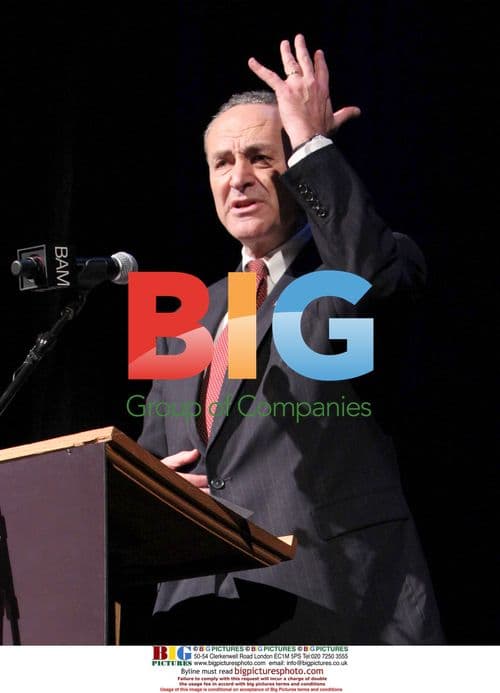 Schumer Speaks at MLK Tribute