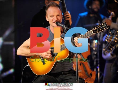 Sting at Hope For Haiti Now Telethon