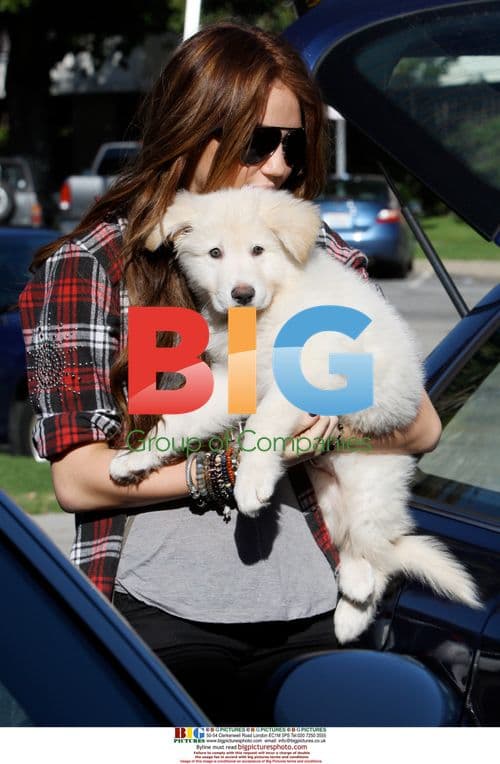 Miley Cyrus and Liam Hemsworth with Puppy