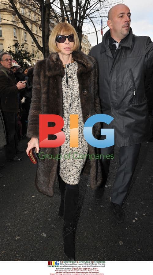 Celebs at Dior's Spring/Summer 2010 Couture Show