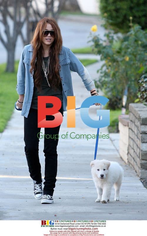 Miley Cyrus and Billy Ray Cyrus walk dogs