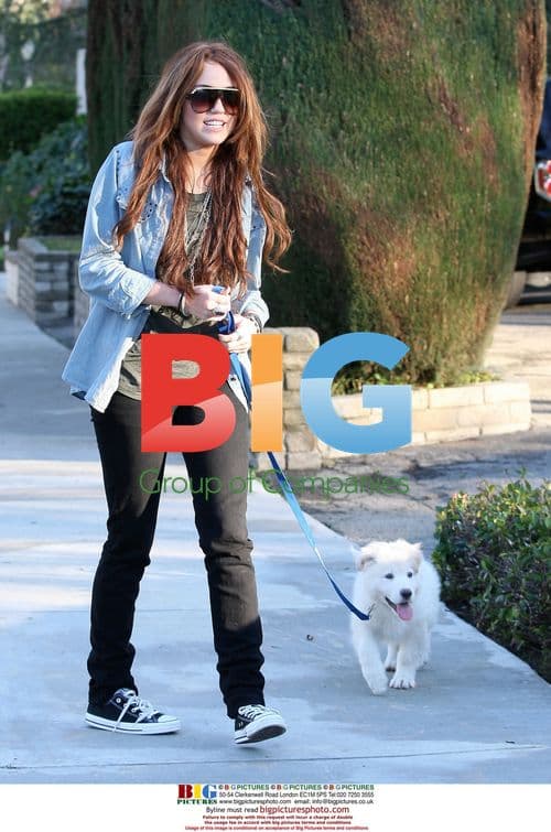 Miley and Billy Ray Cyrus Walk Dogs