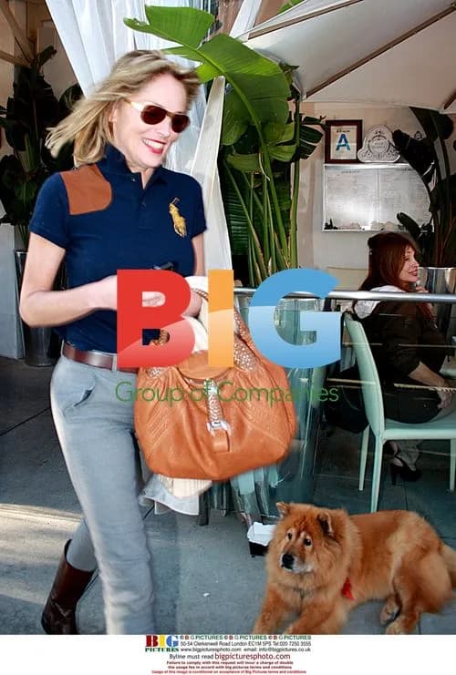 Sharon Stone leaves Beverly Hills