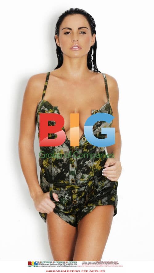 Katie Price Poses in Swimsuit