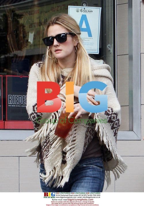 Drew Barrymore and Justin Long at the Oaks Gourmet Market