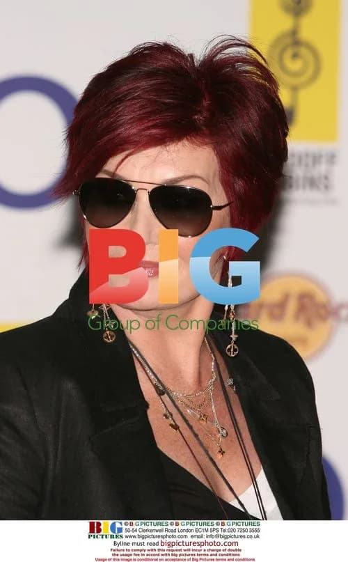 Silver Clef Awards 2010