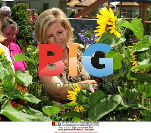 Sophie of Wessex at Hampton Court Flower Show