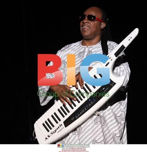 Stevie Wonder Performs Live in Verona